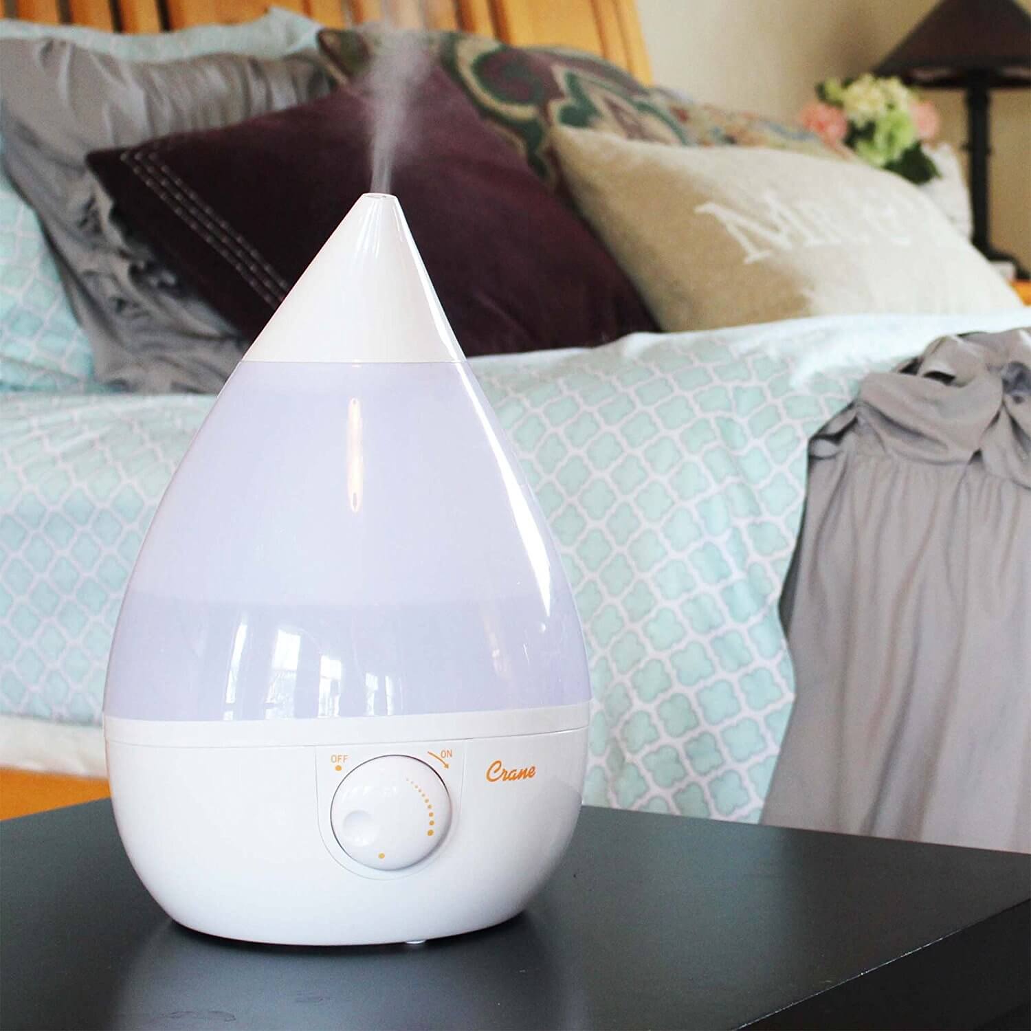 Wellness Inside the Home Assured with a Personal Humidifier